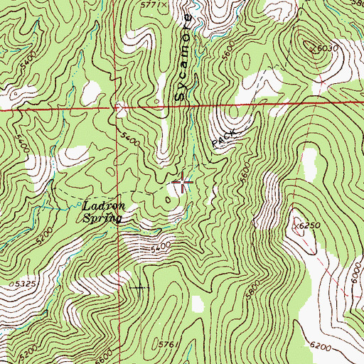 Topographic Map of Syeamore Corral, AZ