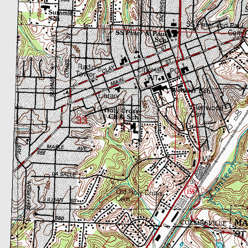 Topographic Map of Holy Cross Lutheran School, IL
