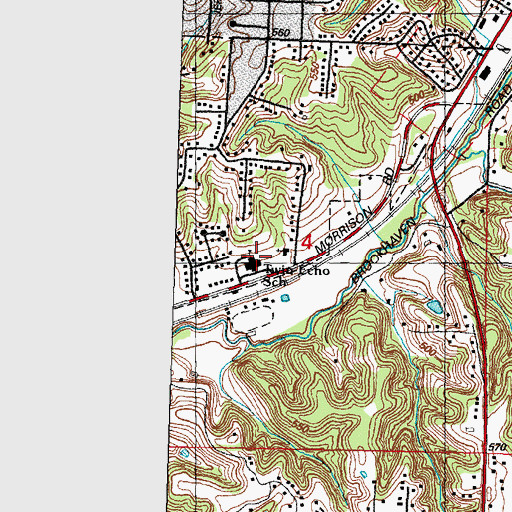 Topographic Map of Twin Echo Elementary School, IL
