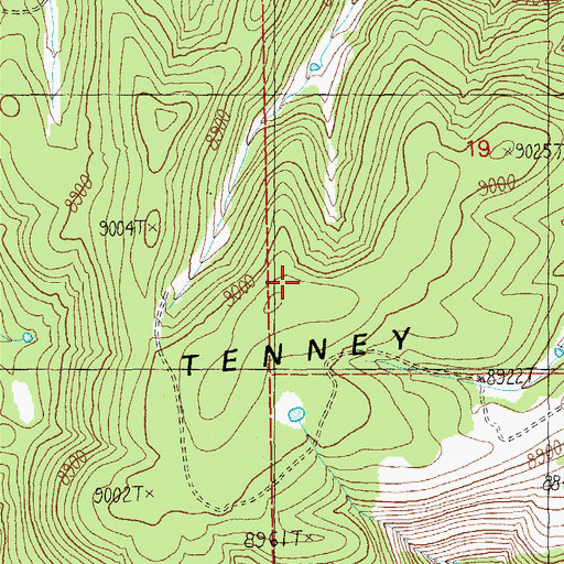 Topographic Map of Tenny Mountain, AZ