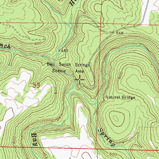 Topographic Map of Redbud Campground, IL