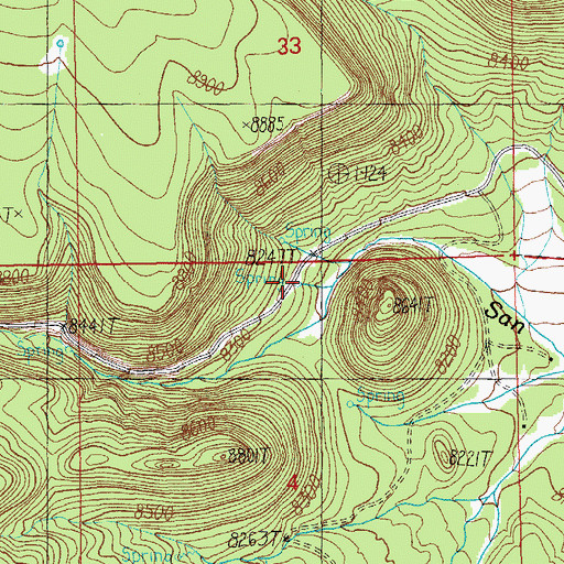 Topographic Map of Willimans Valley Spring, AZ