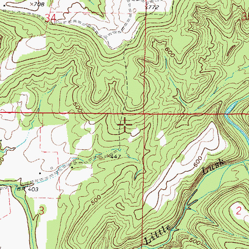 Topographic Map of Indian Kitchen Point of Interest, IL