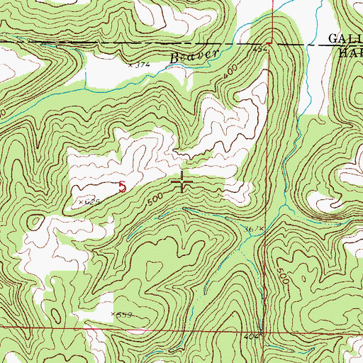 Topographic Map of Beaver Trail, IL