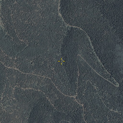 Aerial/Satellite Image of Upper Bear Canyon Seep, AZ