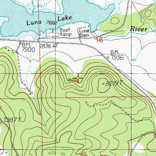 Topographic Map of Rincon Spring, AZ