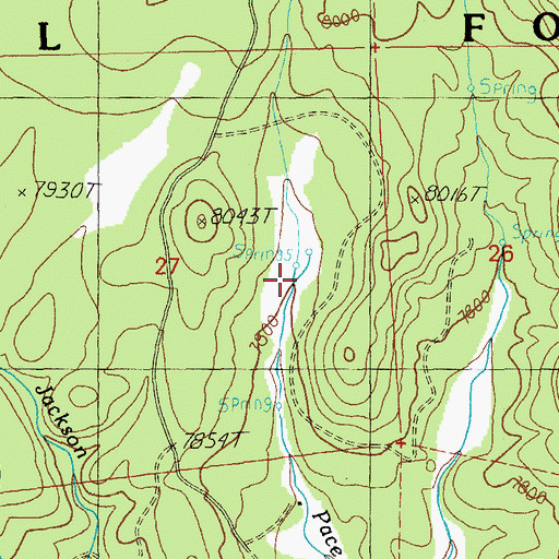 Topographic Map of Carmen Spring Number One, AZ