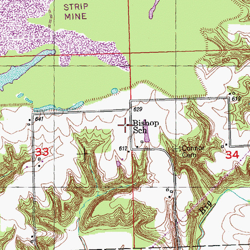 Topographic Map of Bishop School (historical), IL