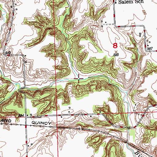 Topographic Map of Rattlesnake Branch, IL