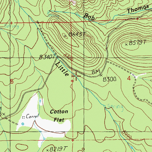 Topographic Map of Lower Little Creek Spring, AZ