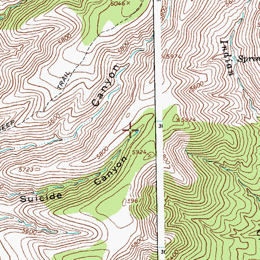 Topographic Map of Suicide Tank, AZ