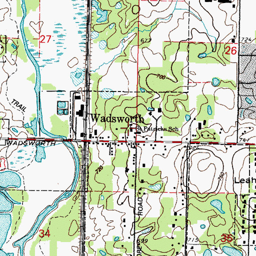 Topographic Map of Saint Patricks School, IL
