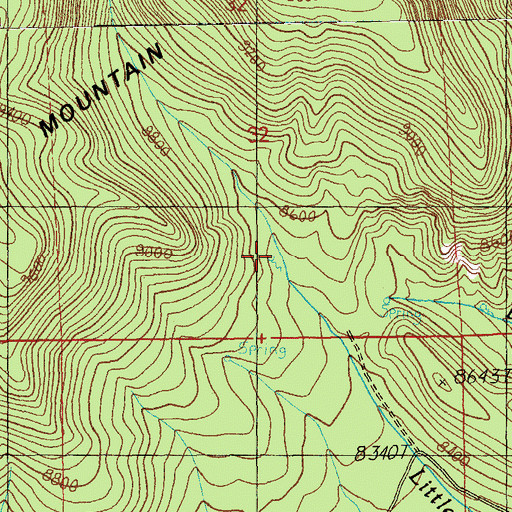 Topographic Map of Forth Spring, AZ