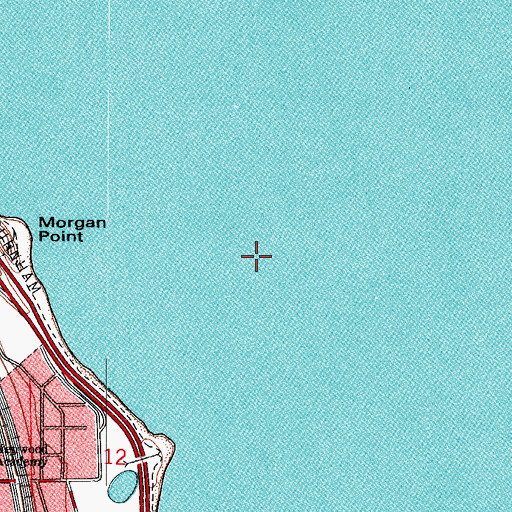 Topographic Map of Morgan Shoal, IL