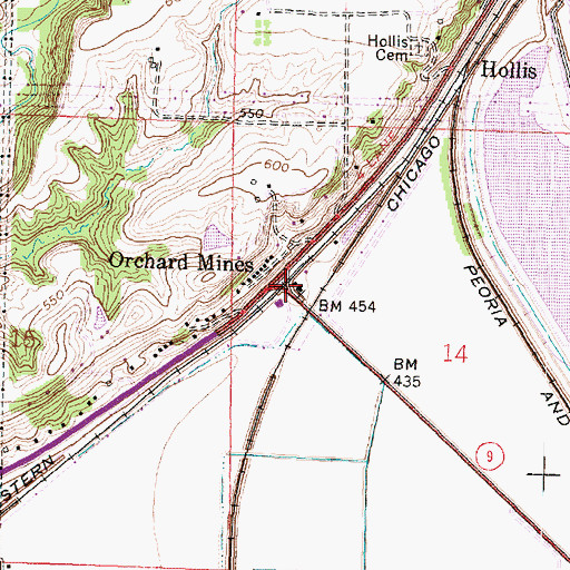 Topographic Map of Orchard Mines, IL