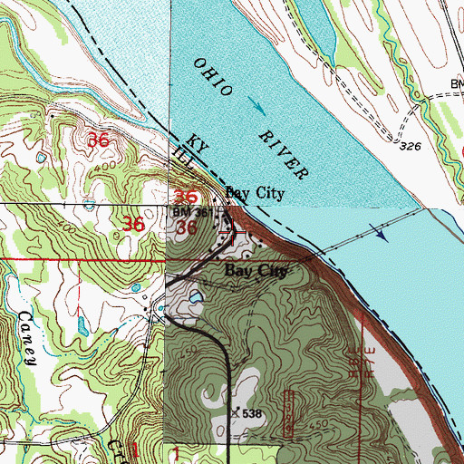 Topographic Map of Bay City, IL