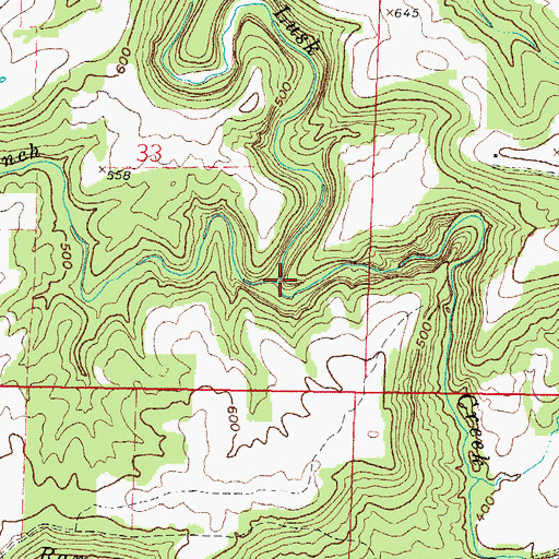 Topographic Map of Bear Branch, IL