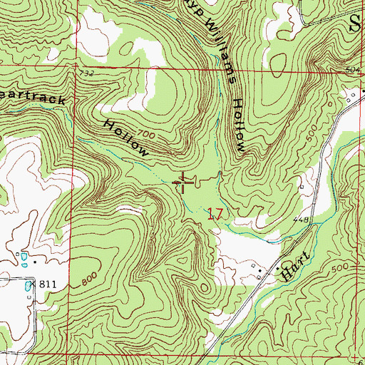 Topographic Map of Beartrack Hollow, IL