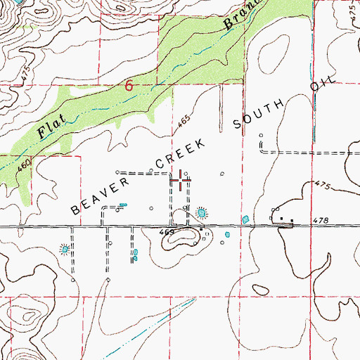 Topographic Map of Beaver Creek South Oil and Gas Field, IL