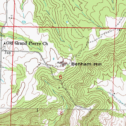 Topographic Map of Benham Hill, IL