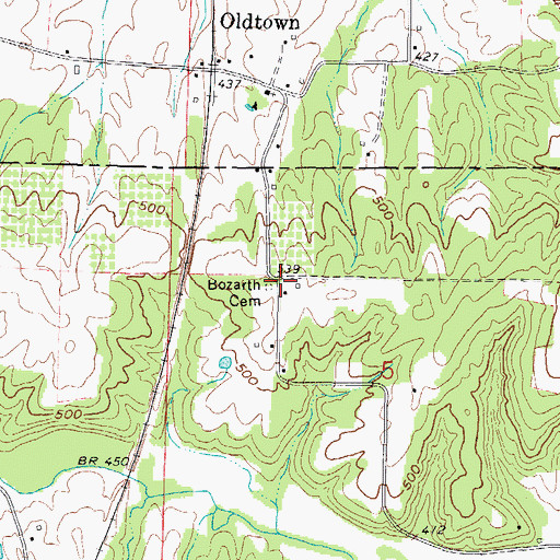 Topographic Map of Bozarth Cemetery, IL