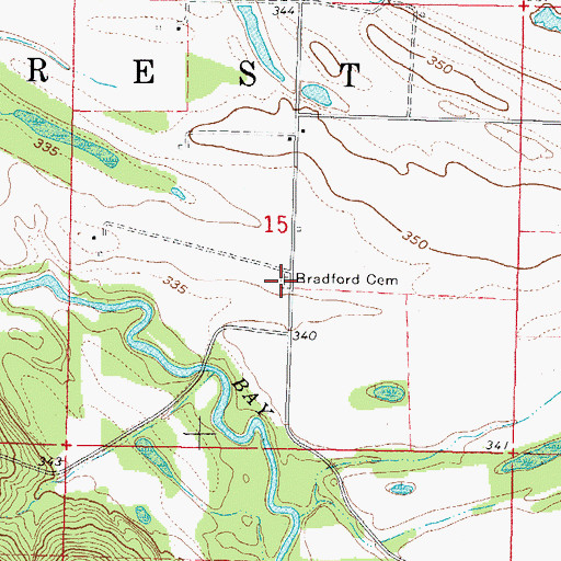 Topographic Map of Bradford Cemetery, IL