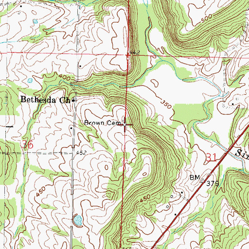 Topographic Map of Brown Cemetery, IL