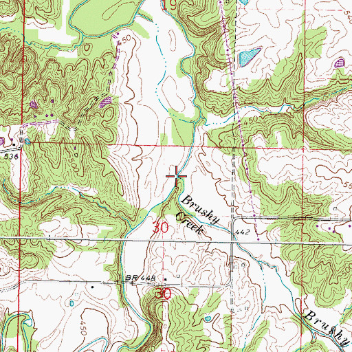 Topographic Map of Brushy Creek, IL