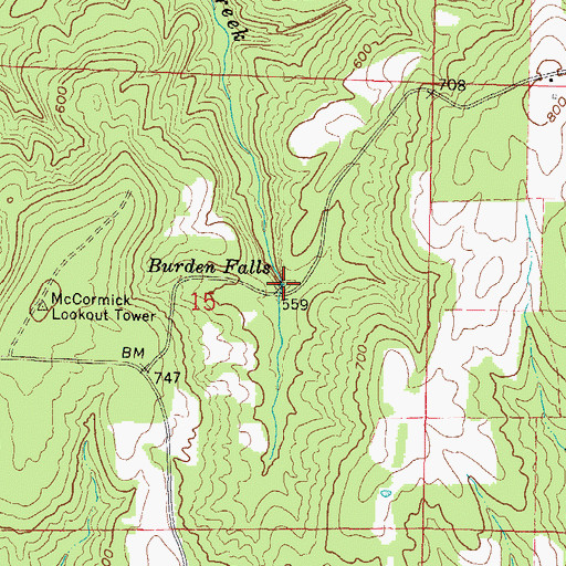 Topographic Map of Burden Falls, IL