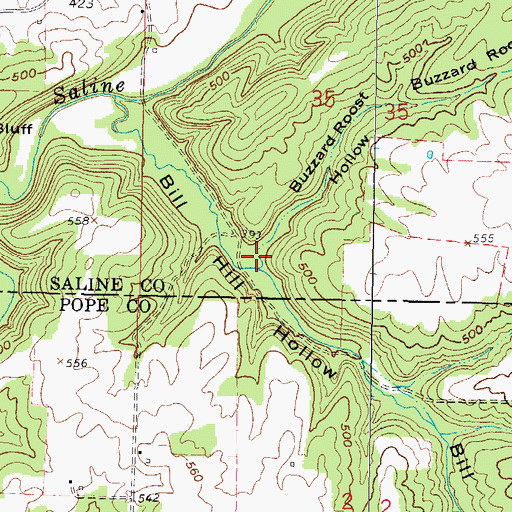 Topographic Map of Buzzard Roost Hollow, IL