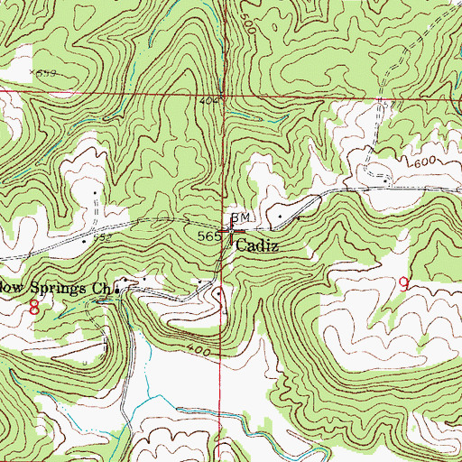 Topographic Map of Cadiz, IL