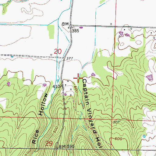 Topographic Map of Captain Vinyard Hollow, IL