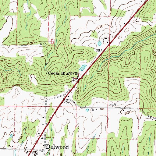 Topographic Map of Cedar Bluff Church, IL