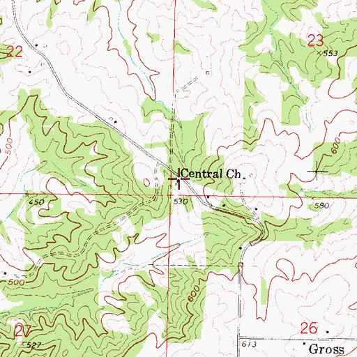 Topographic Map of Central Church, IL