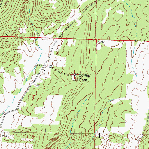 Topographic Map of Collier Cemetery, IL