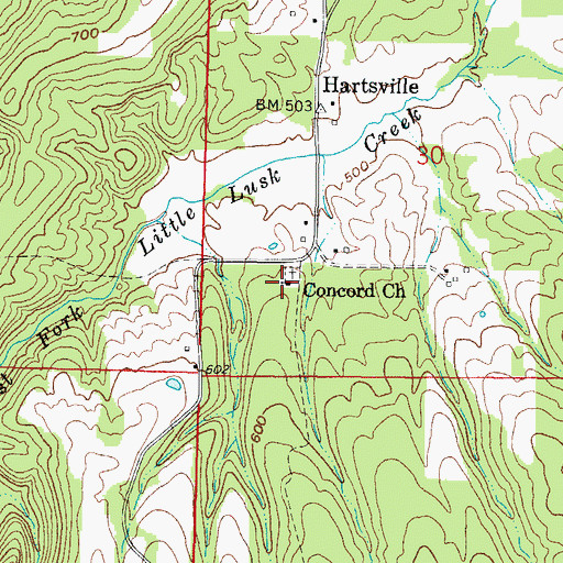 Topographic Map of Concord Church, IL