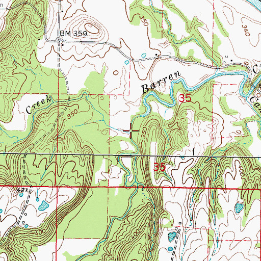 Topographic Map of Cooney Creek, IL