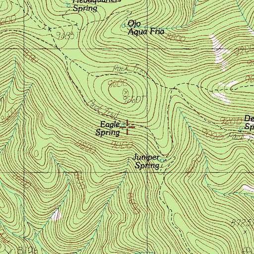 Topographic Map of Eagle Spring, AZ
