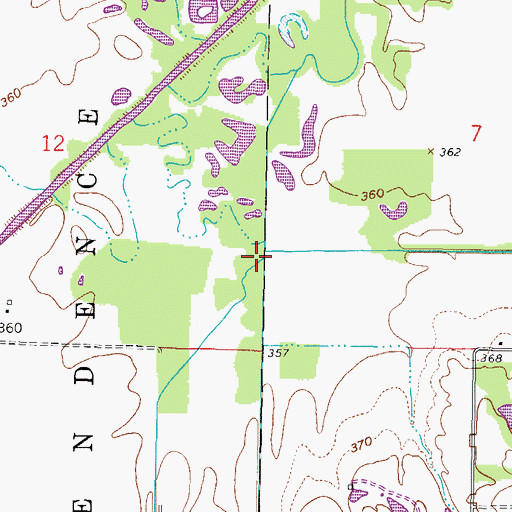 Topographic Map of De Neal Branch, IL