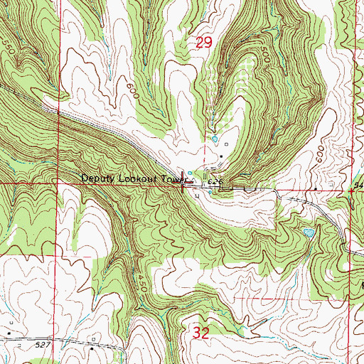 Topographic Map of Deputy Lookout Tower, IL