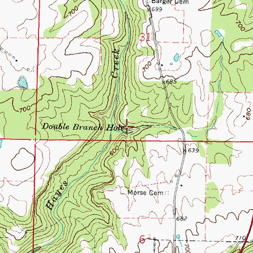 Topographic Map of Double Branch Hole, IL