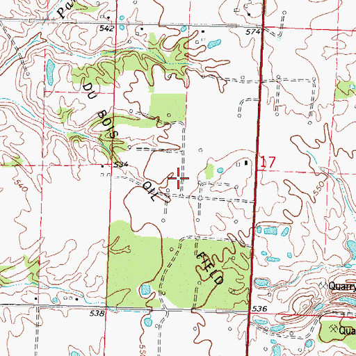 Topographic Map of Du Bois Oil Field, IL