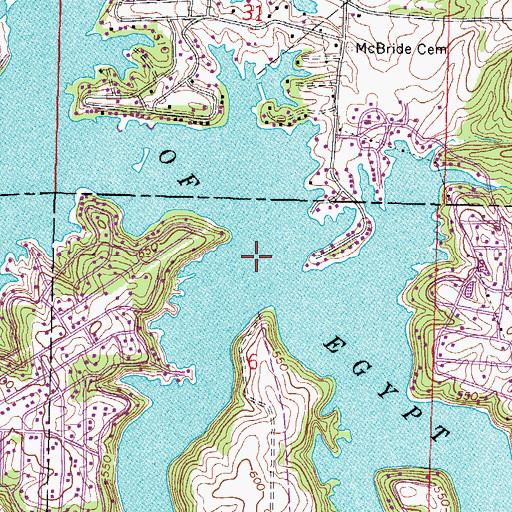 Topographic Map of Lake of Egypt, IL