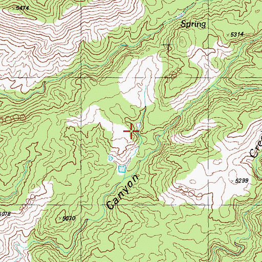 Topographic Map of Juniper Tank, AZ