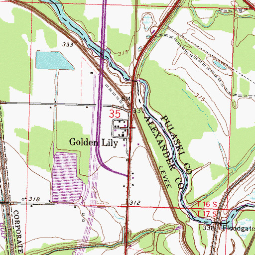 Topographic Map of Golden Lily, IL