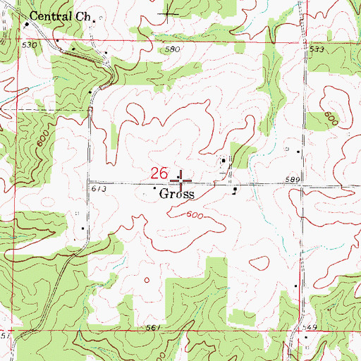 Topographic Map of Gross, IL