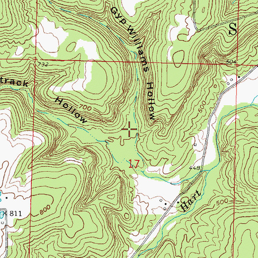 Topographic Map of Gyp Williams Hollow, IL