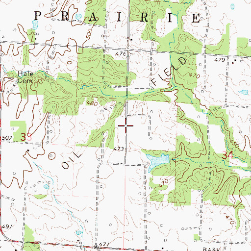 Topographic Map of Johnsonville Oil Field, IL