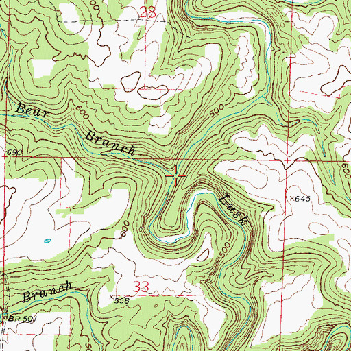 Topographic Map of Little Bear Branch, IL