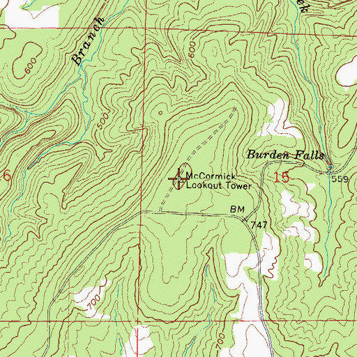 Topographic Map of McCormick Lookout Tower, IL